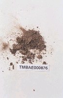 藏品(皺葉小石苔)的圖片